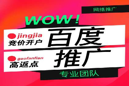 百度SEO推广策略：如何快速提升网站排名？——案例详解