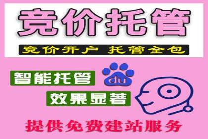 百度SEO推广案例解析与效果评估